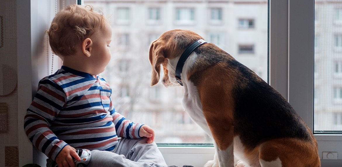pets e crianças